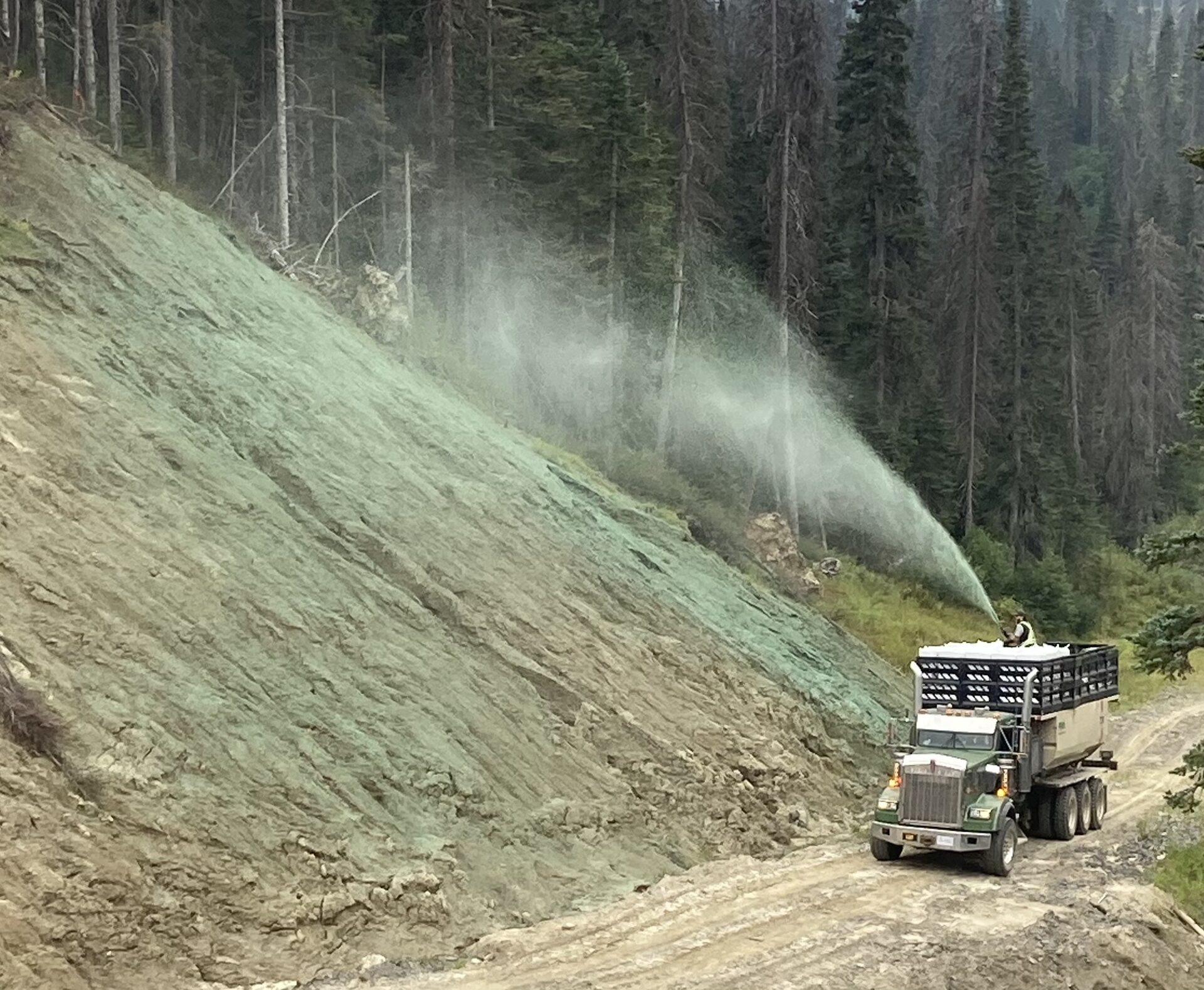 Hydroseeding truck spraying green slurry onto a steep cut slope along a forest road, Interior BC